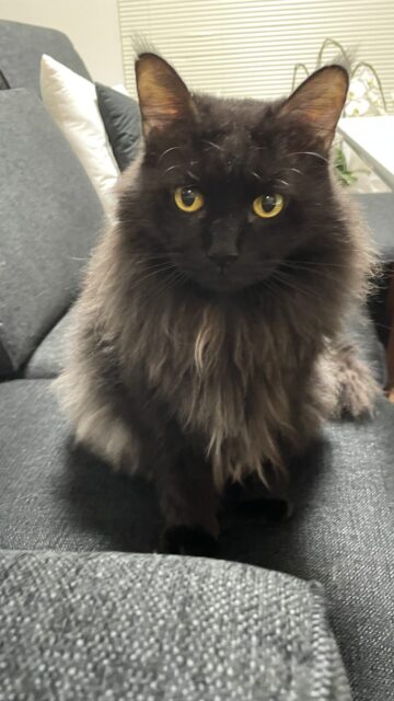 😺へそ天でお迎え☺️