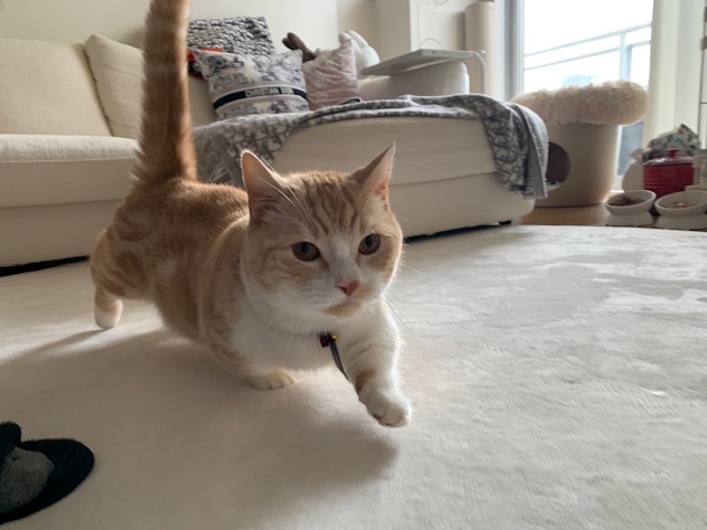 お客様から頂いたお声を一部ですが紹介させて頂きます