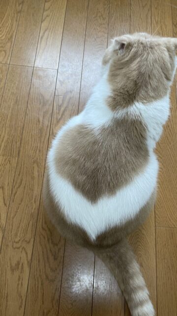 😺水道水、大好き☺️