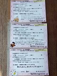 沼津市ペットシッター お客様の声をご紹介🌟 初回利用時のアンケートより