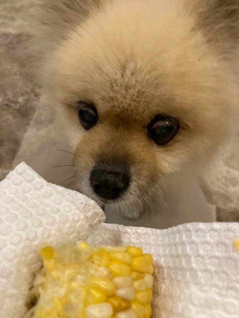 🌟2025年8月繁忙期について🌟