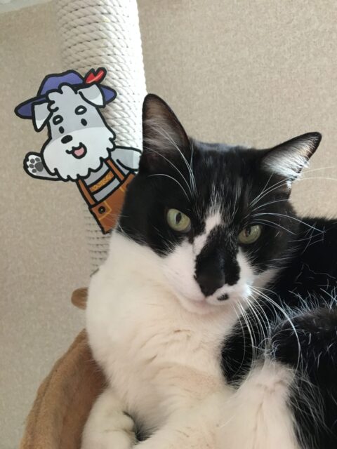 登録料無料キャンペーン、3月末で終了となります