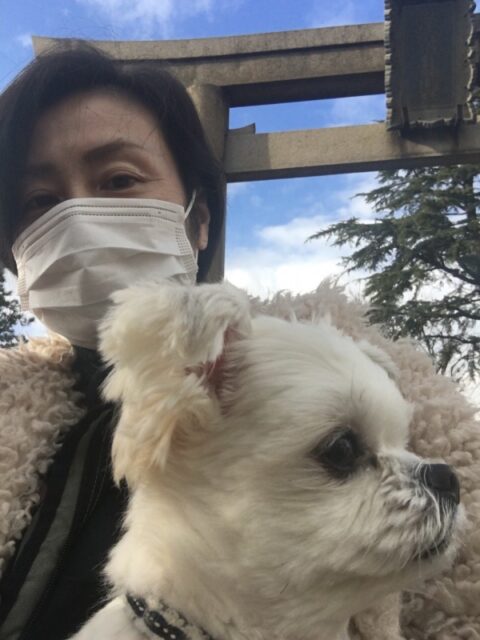 初詣 神様に報告しました