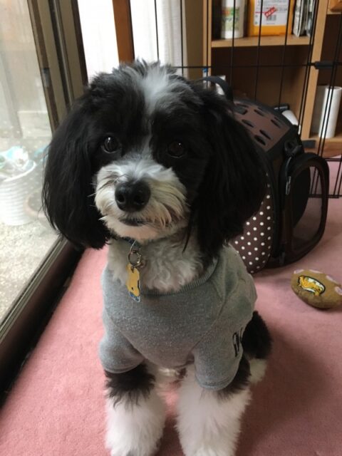 ゴールデンウィーク