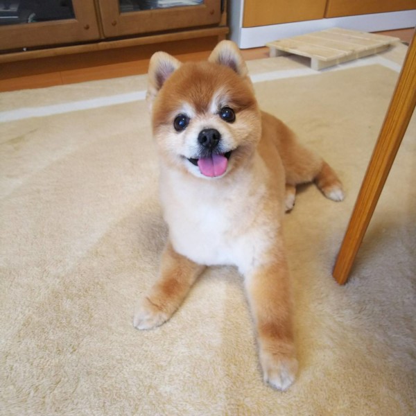 とも君は　がんばりました！　その2