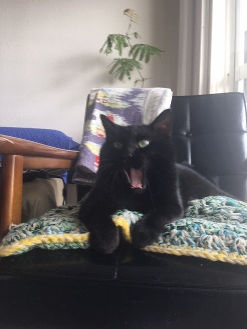 新規のお客様へ