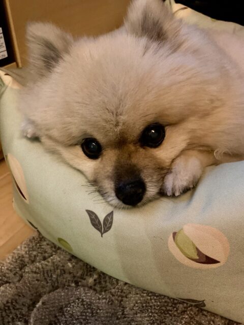 🌟7月受付終了＆2024年8月繁忙期について🌟