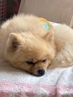 ★2021.8.7～8.16繁忙期のお知らせ★