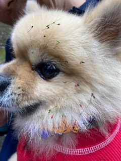 ★年末年始のお知らせ★