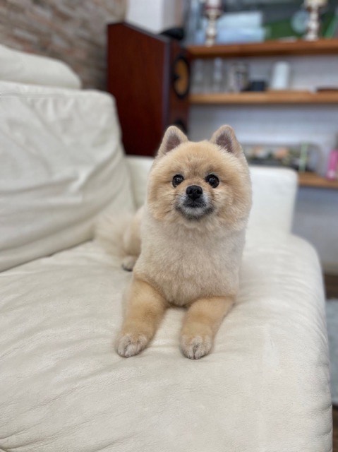 🌟5月受付終了のお知らせ🌟