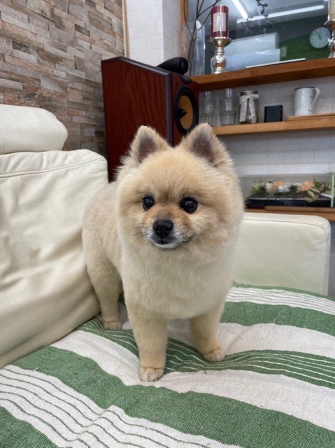 🌟6月受付終了のお知らせ🌟