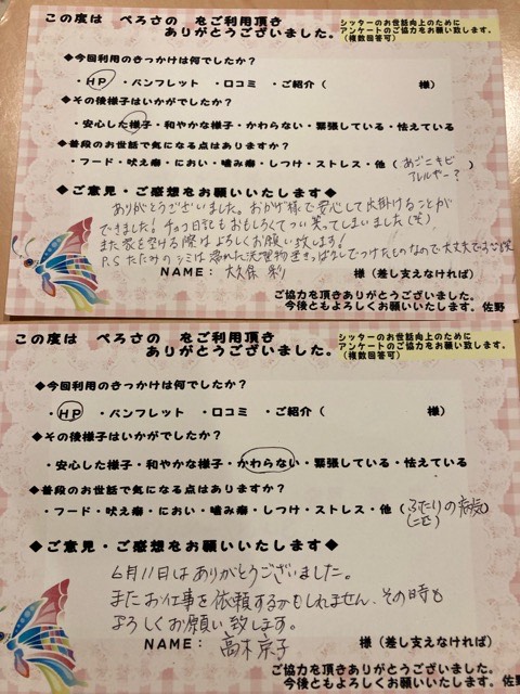 沼津市ペットシッター お客様の声 ご紹介!!