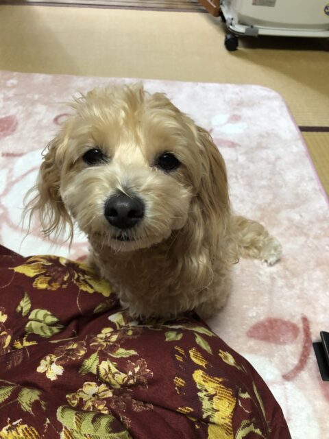 早く元気になってね