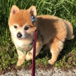 とも君はがんばりました！その1