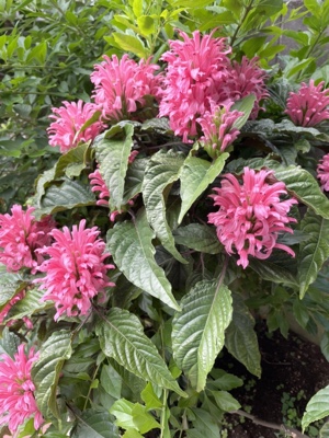 2022年6月と7月のお休み