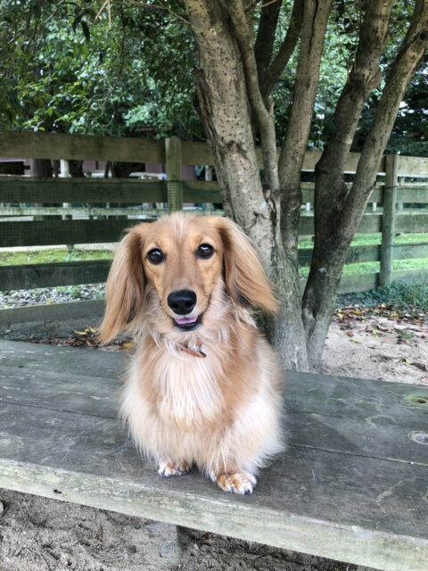 よーちゃんのご家族は揃って旅行に！