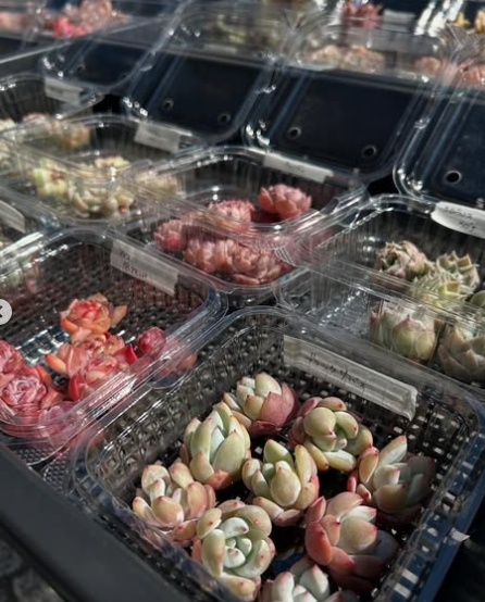 本郷台駅マルシェにPOP置いていただきました！