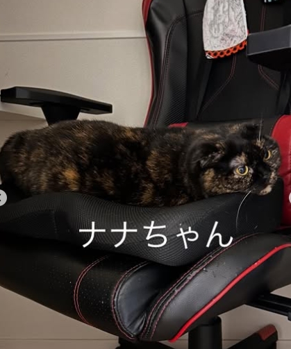 またまた月見ちゃんです！