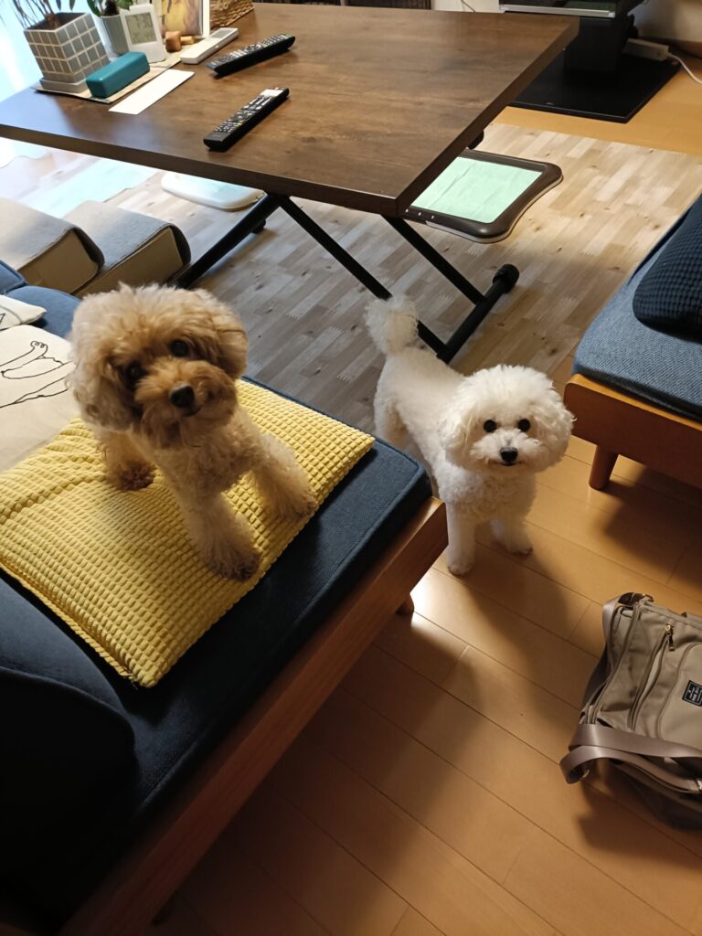 金沢区の癒しの姉妹🧡