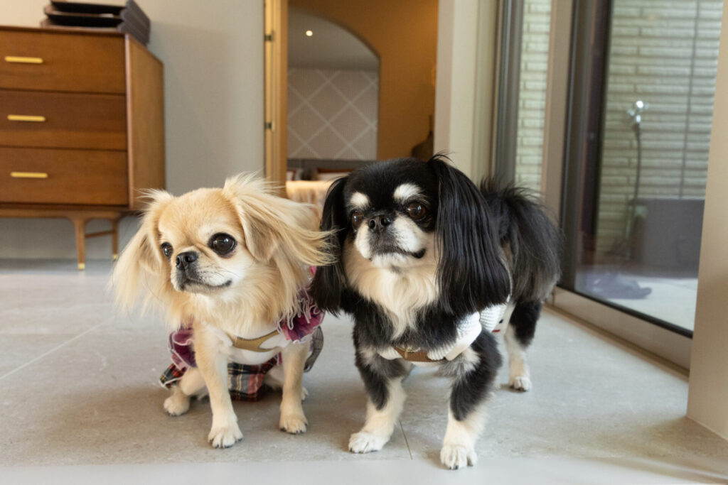 HPリニューアル完了しました☺