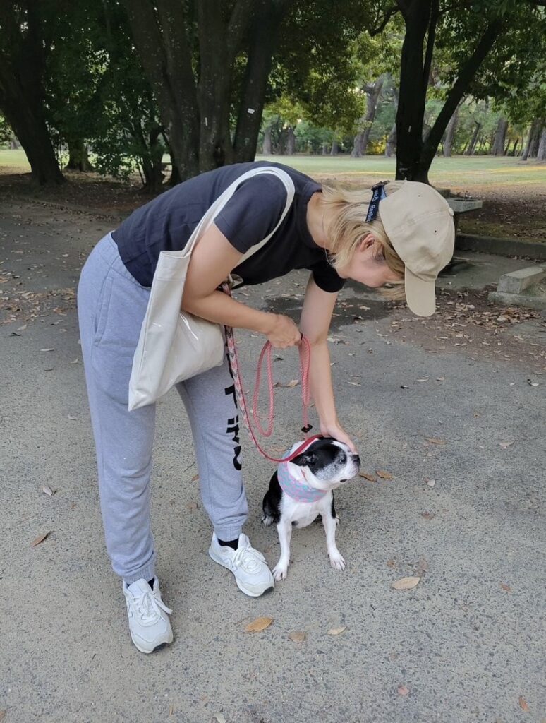 【犬のお散歩豊橋市】アロハちゃんお世話の様子🐶