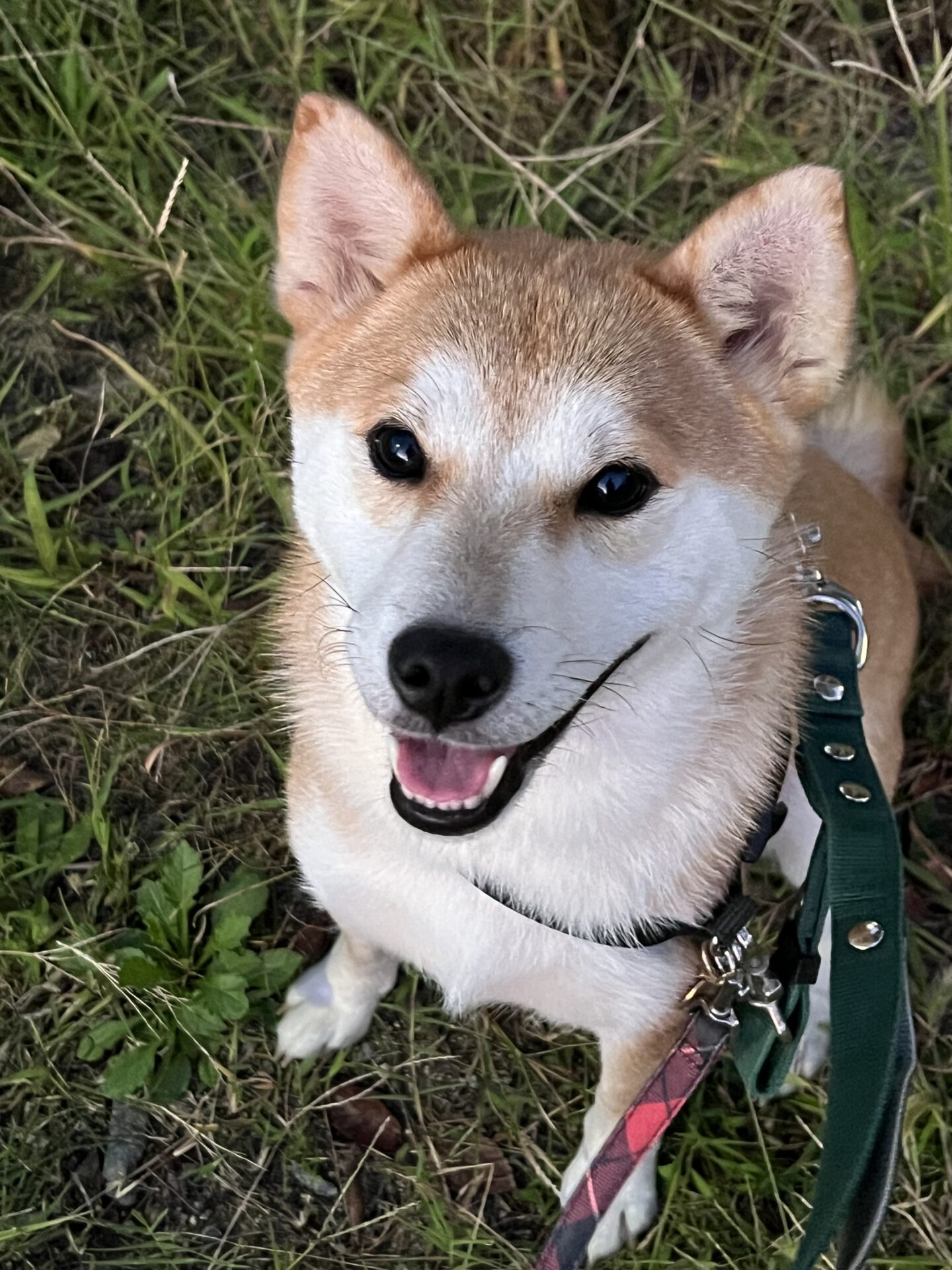 すだちちゃん♪通常コース　リピートのご依頼♪