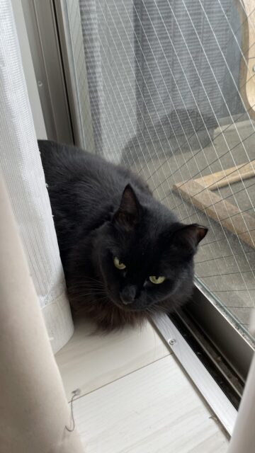 😺お尻トントン💕