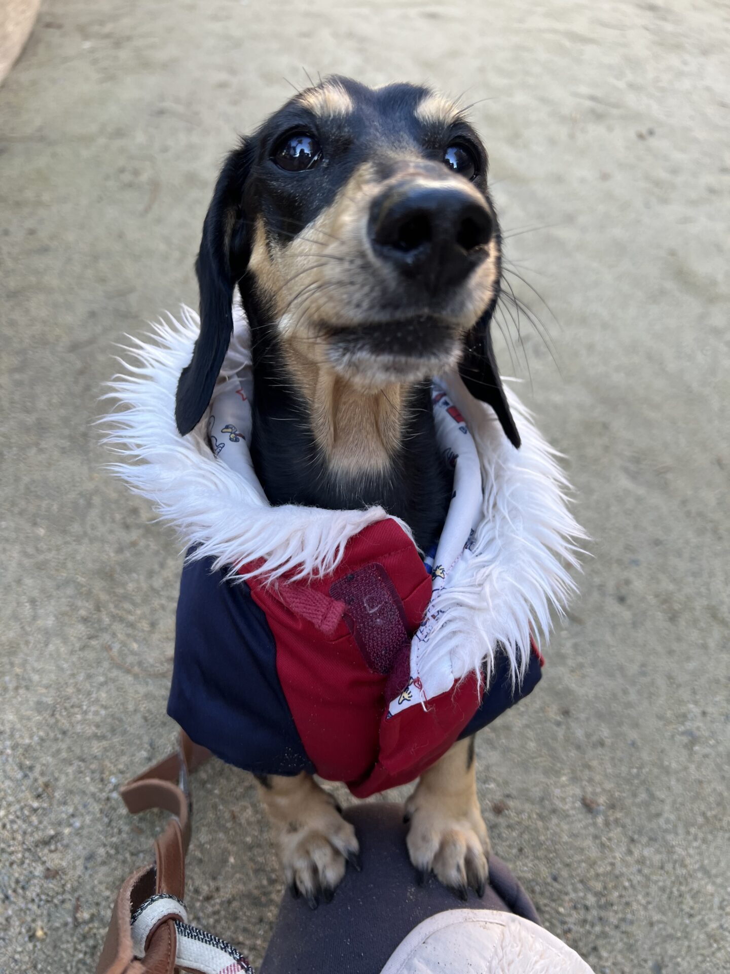 ダロンイ君♪通常コース　リピートのご依頼♪