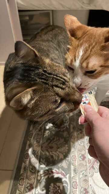 😺初めましてのお友達✨