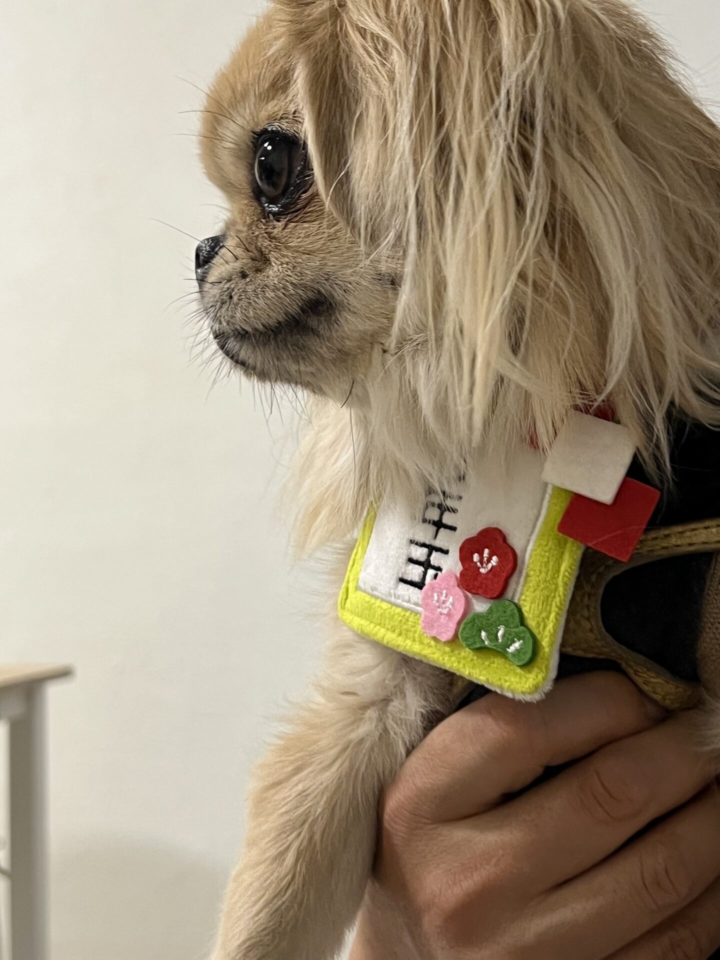 2025年もあと僅か…今年のお礼と来年の抱負