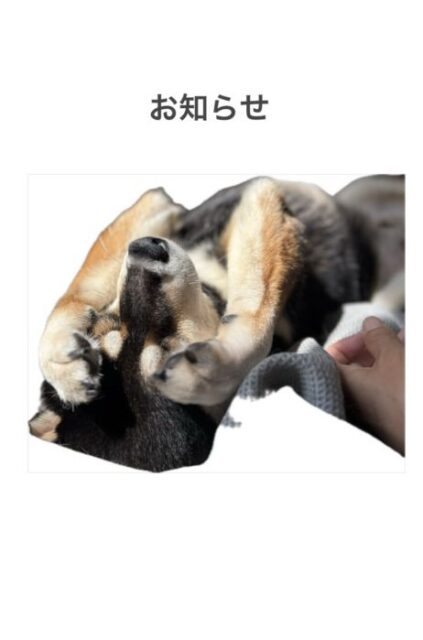 年末年始のお知らせ