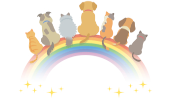 ペットシッター虹