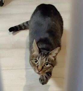 「尼崎市」まひろちゃん(*^^*)