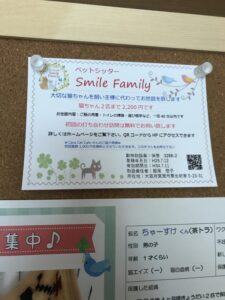 箕面のCara Cat Cafeさんにチラシを置かせていただきました。