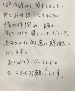 ペットホテル 猫のモカちゃんのご家族様