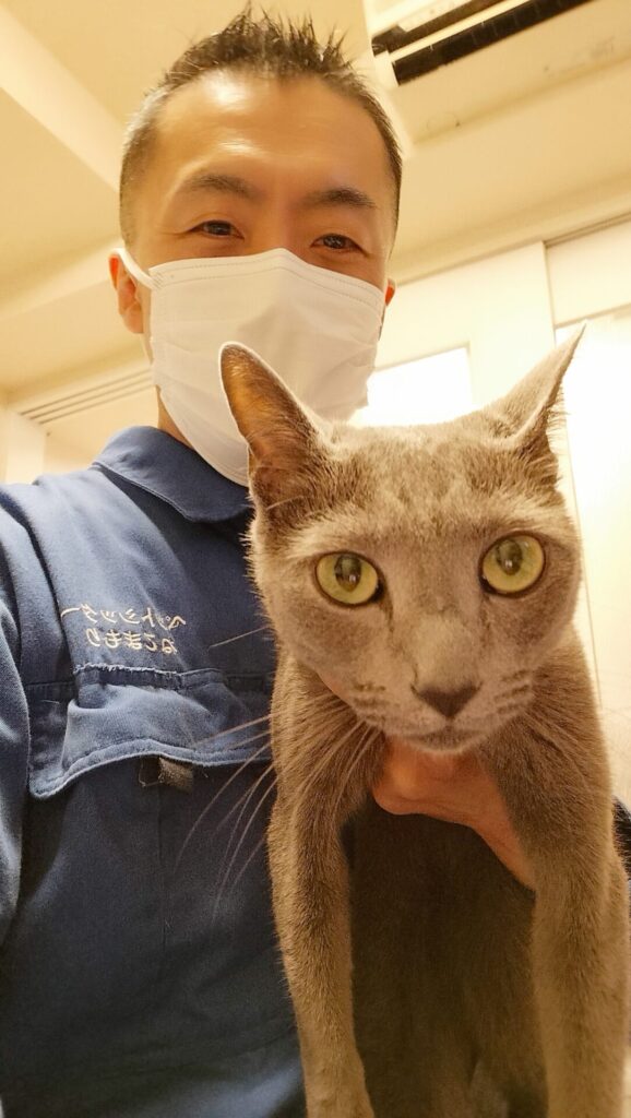 新宿区 お得意様  １年ぶりの再会  嬉し⋯楽し⋯元気過ぎだよ  ロシアンくん お世話レポート🐈