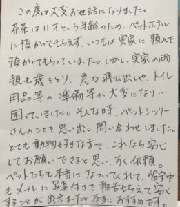 ペットシッター　吹田市　猫の茶茶ちゃんとギガちゃんのご家族様