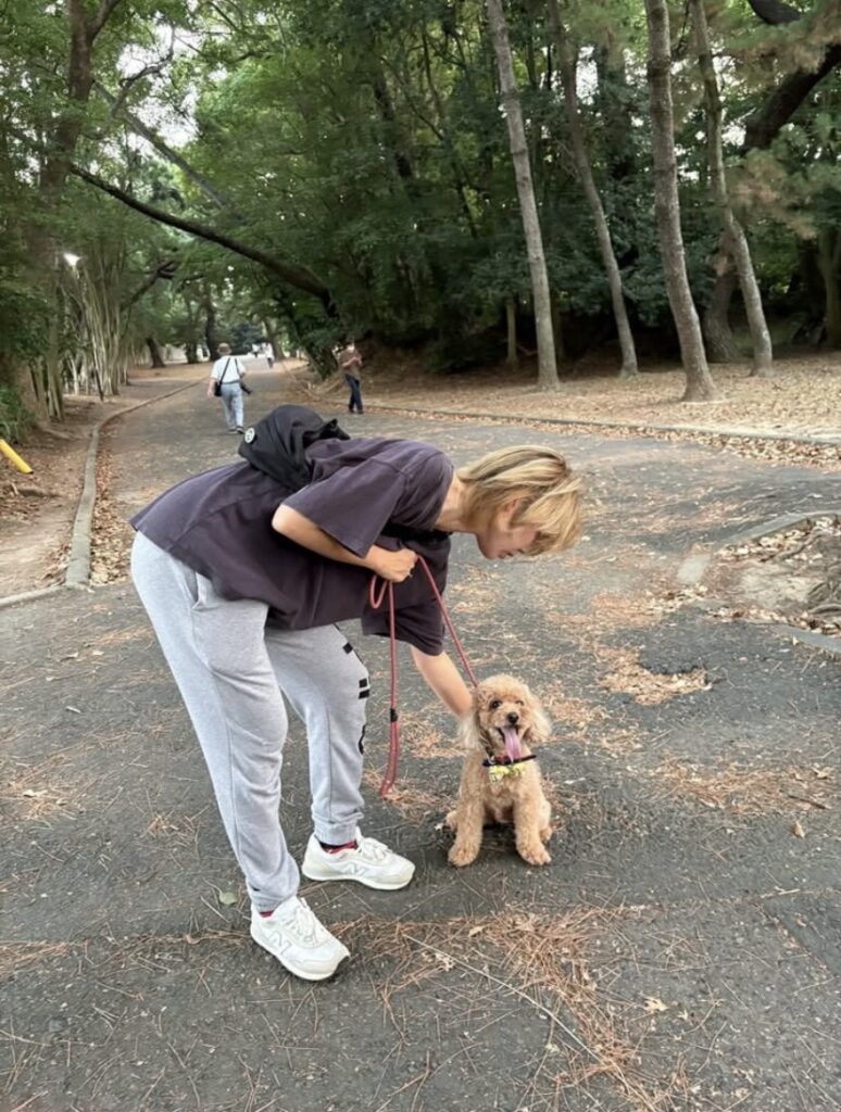 【犬のお散歩豊橋市】レイくんお世話の様子🐶