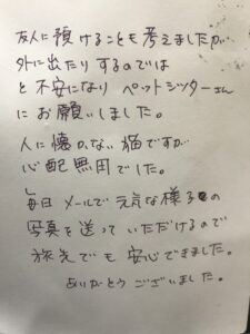ペットホテル　猫の空大くんと美唯ちゃんのご家族様