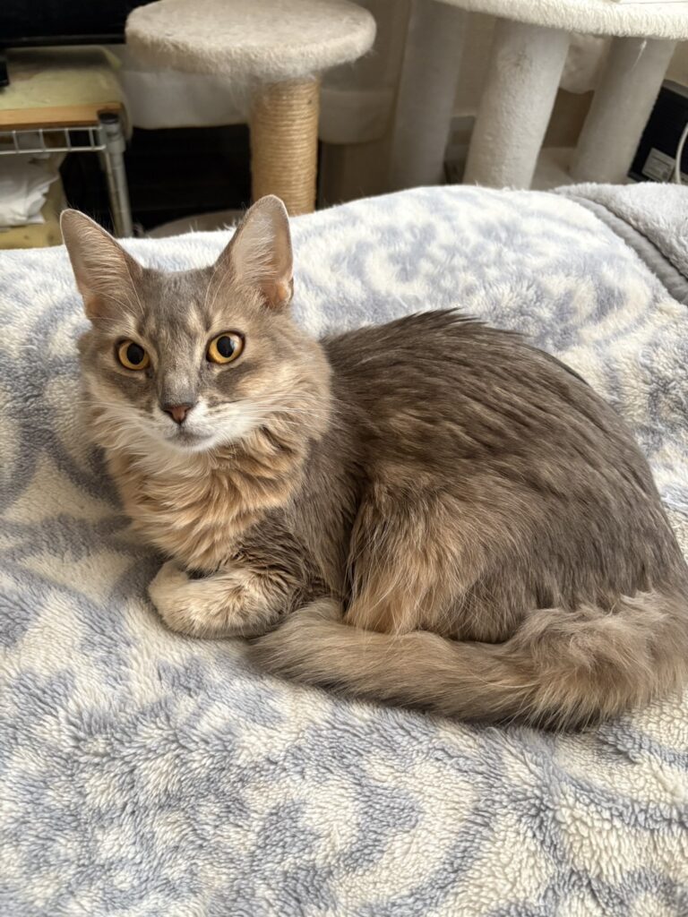 明けましておめでとうございます♪