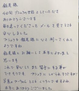 ペットシッター　シロキジ猫　プシュケちゃんのご家族様