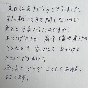 ペットシッター　黒猫のくろくんと白茶のブランくんのご家族様