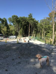 大阪　茨木市　ドッグラン