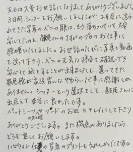 ペットシッター　ボストンテリアのベニちゃんのご家族様