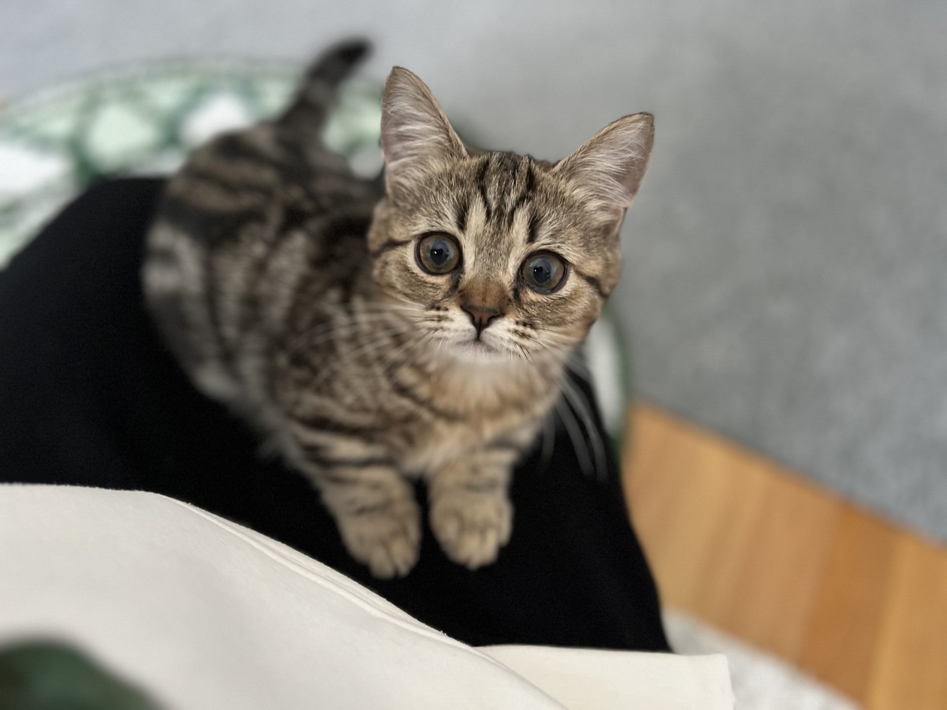 みゃく君　ショートコースのご利用♪リピートのご依頼♪