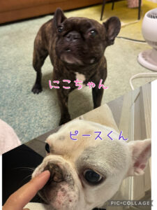 船橋市　にこちゃん・ピースくん