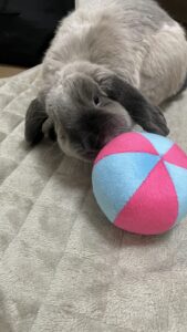 🐇初めましてのお友達✨