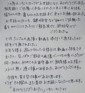 ペットシッター　キジ猫　いちこちゃんのご家族様