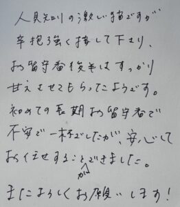 ペットシッター　箕面市　猫のジェットくんのご家族様