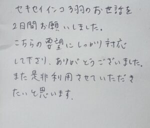 ペットシッター　セキセイインコのぴーくん　ぴこくん　ぴぴちゃんのご家族様